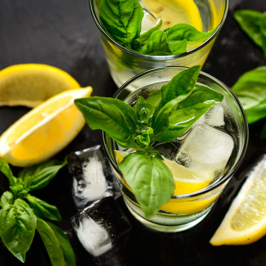 Cool Citrus Basil (520 ml)