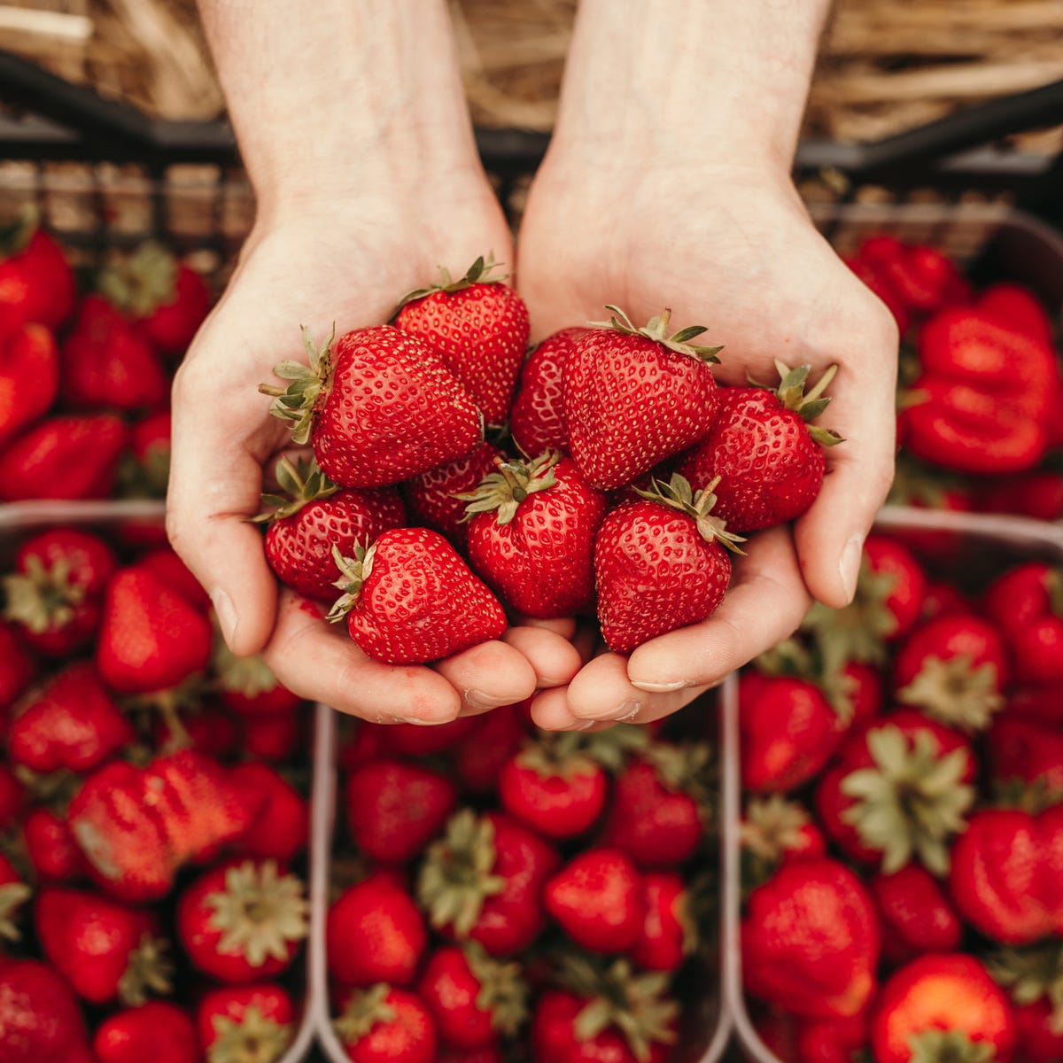 Strawberry (30mls)