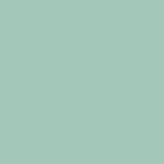 Dye Chip - Aqua - 100