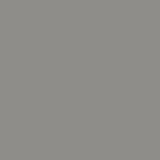 Dye Chip - Grey- 100