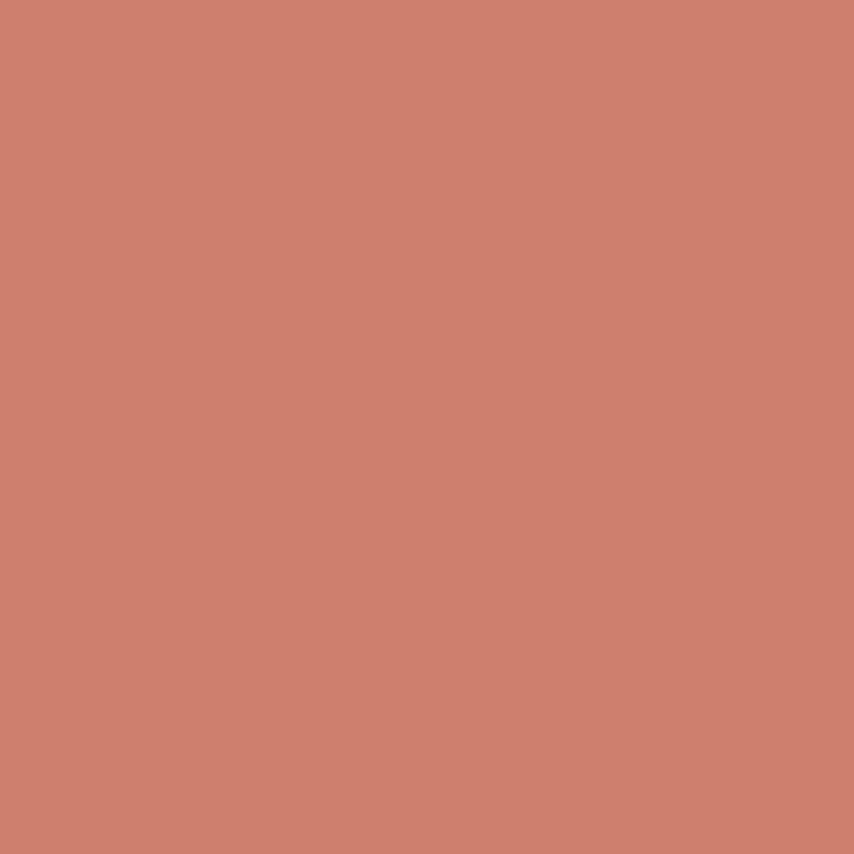 Dye Chip - Melon- 100