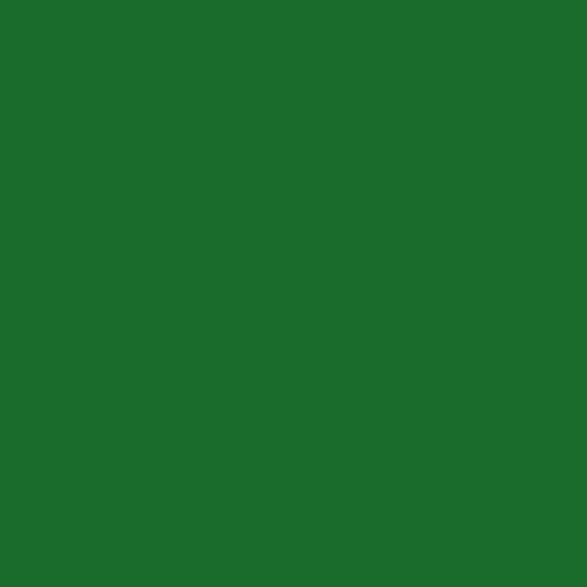 Dye Blocks - Forest Green - 10