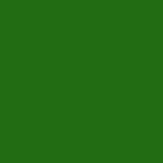Dye Blocks - Hunter Green - 10
