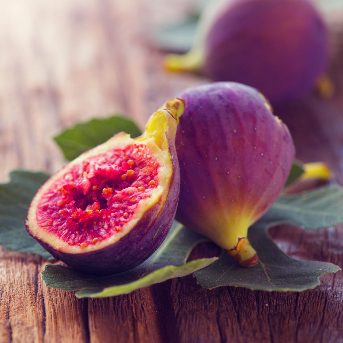 Fig Tree (2500mls)