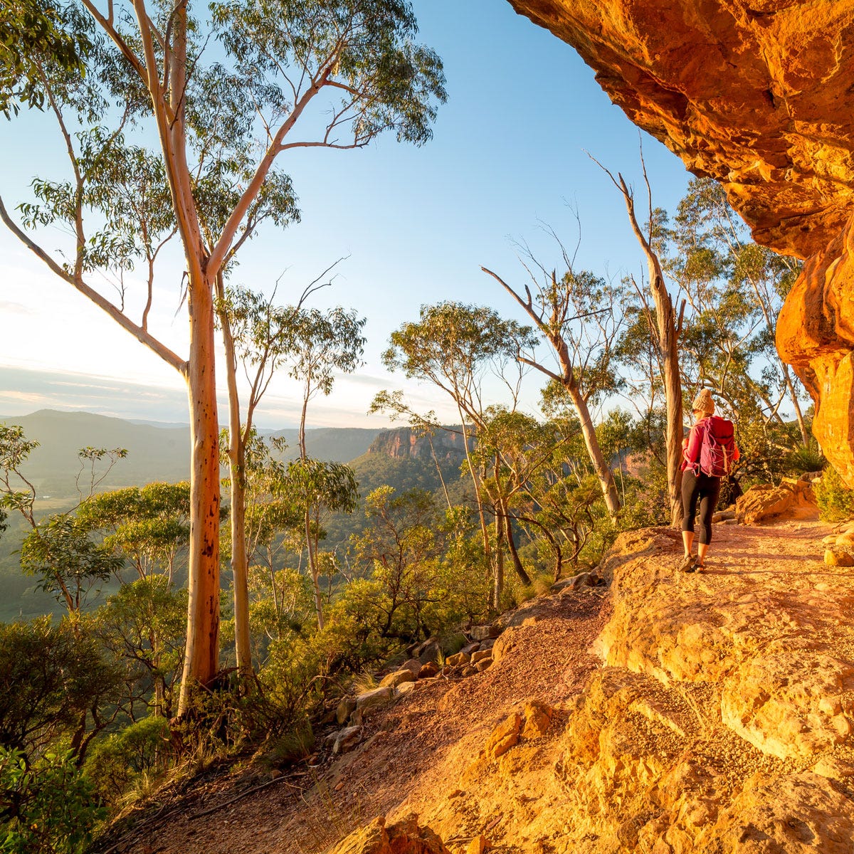 Australian Bush (2500mls)