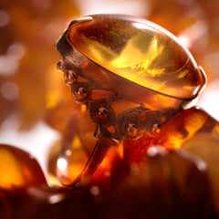 Egyptian Amber (2500mls)