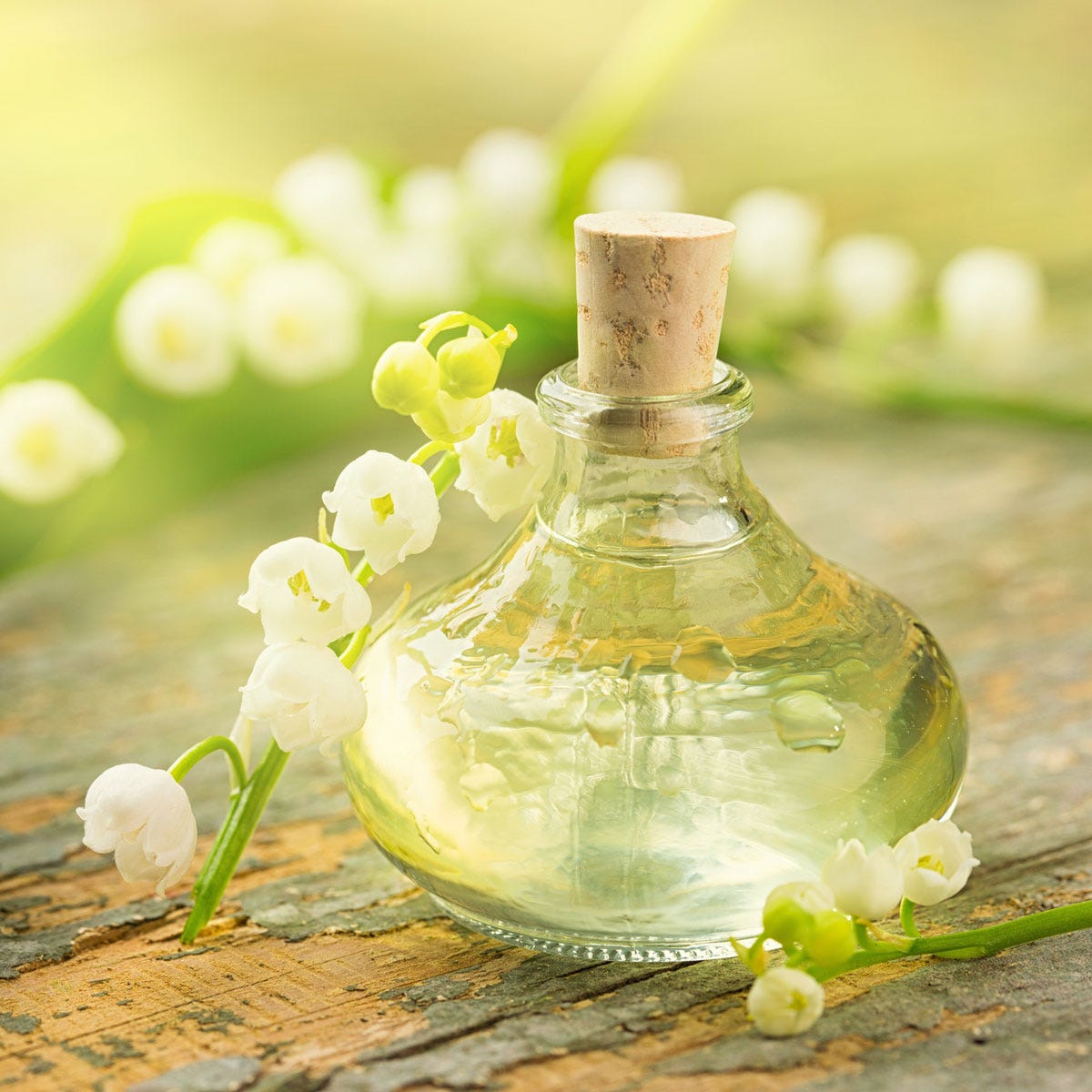 Fragrance Note - Lily of the Valley (30 ml)