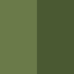 Liquid Dye - Olive Green  - 100 g