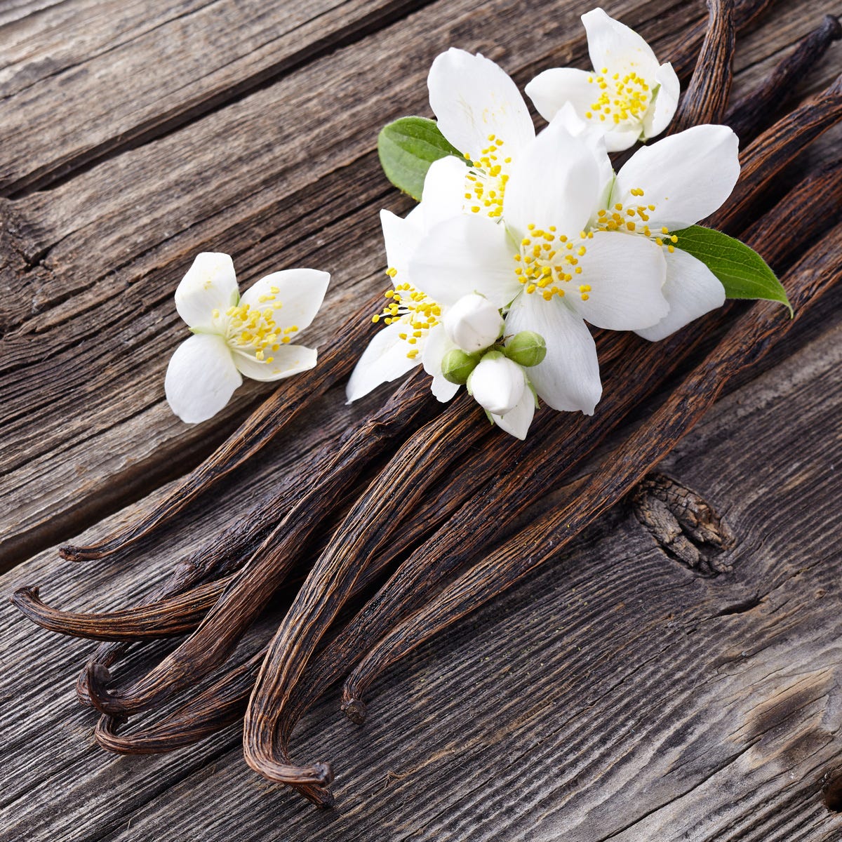 Flower Type* - Vanilla Casmr (105mls)