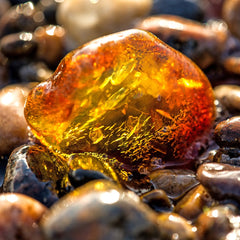 Baltic Amber