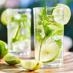 Mint Mojito