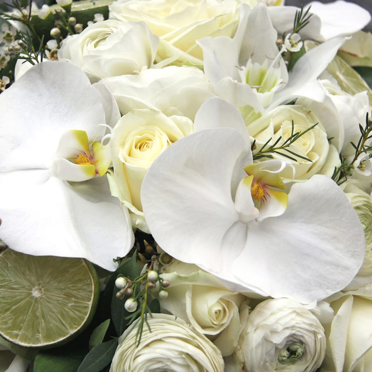 Sheer Lily & White Rose Type* (520 ml)