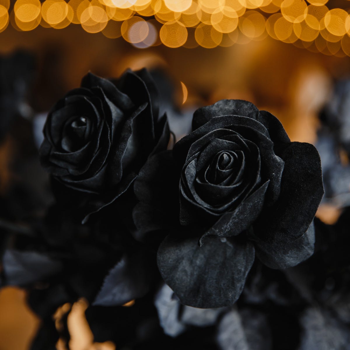 Black Rose & Oud (2500mls)