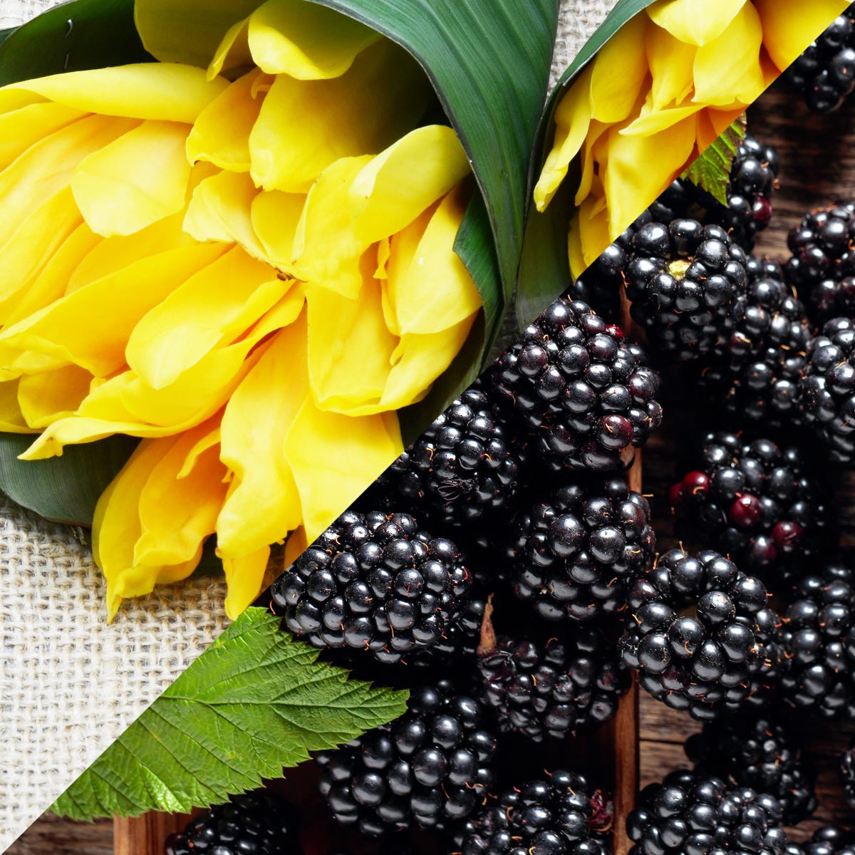 Blackberry & Ylang Ylang (105mls)
