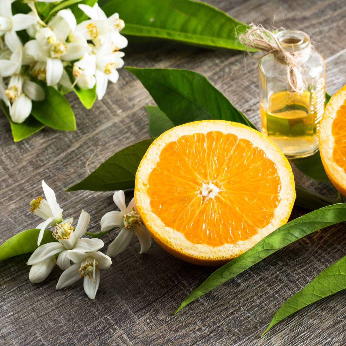 Sweet Neroli & Basil (520mls)