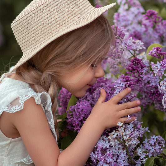 Lilac & Orchid