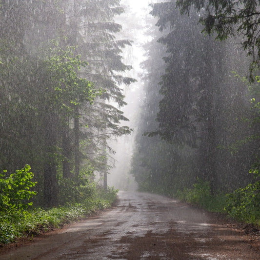 Rainstorm