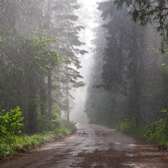 Rainstorm